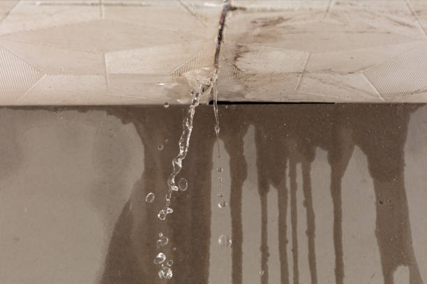 Professional Sewage Cleanup technician working in Greenville, VA